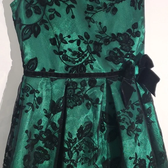 Girl' Elegant Green and Black Holiday Party Dress Size 10 Tulle Petticoat - Picture 5 of 16